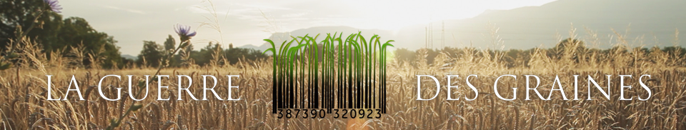 Fin du monopole de Monsanto ! Les agriculteurs bio pourront bientôt vendre leurs propres graines 1392827162_bandeau6