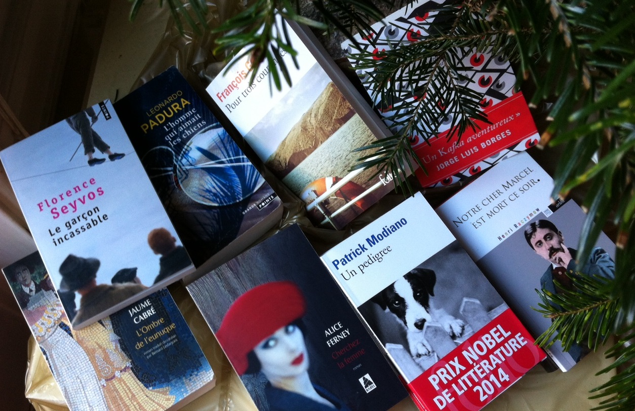 10 excellents livres de poche à moins de 10 euros à offrir pour Noël [2014]  - Bibliothérapie